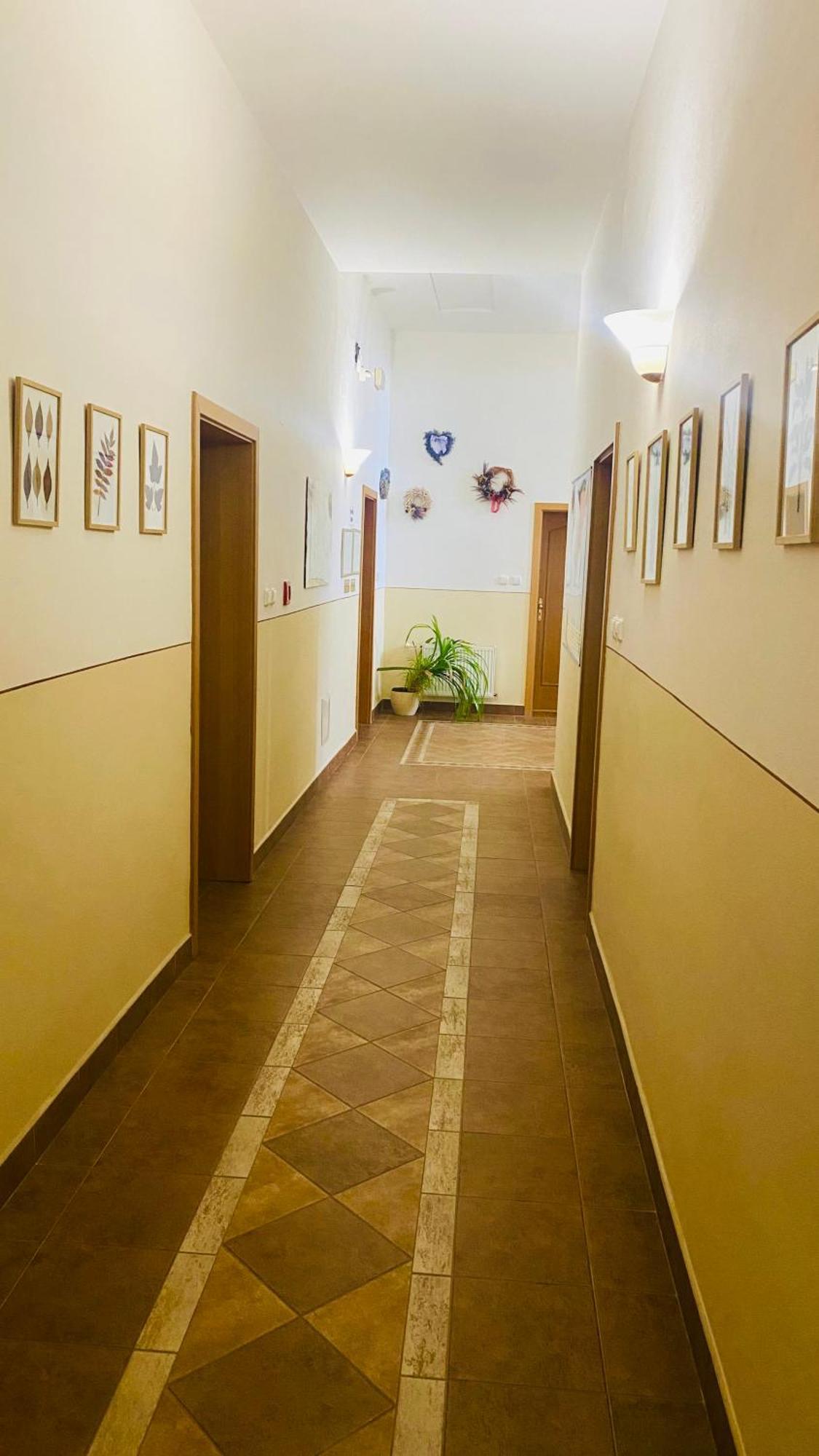 Penzion Cerny Kun Hradec Králové المظهر الخارجي الصورة